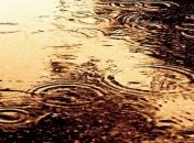 Прогноз погоды в Украине на 19 мая: пройдут дожди с грозами