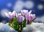 Почти весна