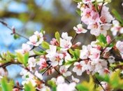 Какой праздник 15 марта: народные приметы и запреты