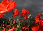 Прогноз погоды на 16-17 июня: почти на всей территории пройдут дожди с грозами