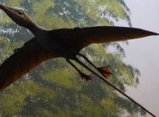 Открыт новый вид летавших птерозавров (Фото)