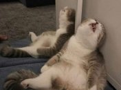 Настав час відпочити для Близнюків