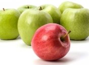 Как повысить продолжительность жизни?