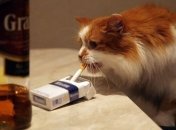 Странные люди: пукнуть стесняются, а курить — гордятся! Веселые шутки про вредные привычки