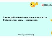 Кровати - это просто зарядные устройства для людей: забавные анекдоты на вечер