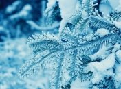 Какой праздник 5 февраля: народные приметы и запреты 