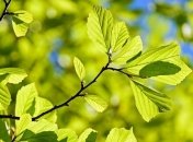 16 травня: яке сьогодні свято і що не можна робити в цей день