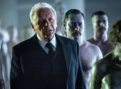 Съемки двух сериалов приостановили из-за пожаров в Калифорнии 