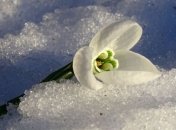 Фомин день, 3 апреля: что категорически нельзя делать