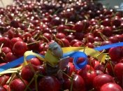 Хитрости помогут "расправиться" с ягодами быстрее