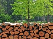 Украинцы нашли альтернативу российскому газу