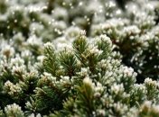 Какой завтра праздник: приметы и обряды на 27 января