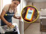 Лайхак, который поможет справится с жиром на дверце духовки