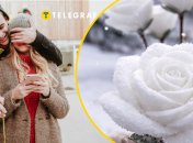 Роза из снега