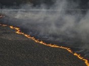 Площадь пожара в зоне отчуждения уменьшили в 3 раза