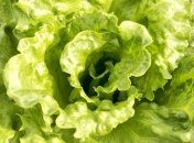 Стало известно, кому нельзя есть зелень