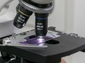 В HD пока нет: процесс формирования вирусов удалось заснять (Видео)