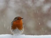 Какой завтра праздник: обычаи и традиции на 2 декабря