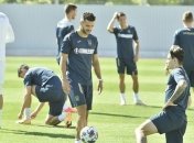 Украина - неявный фаворит в домашней игре со Швейцарией