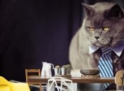 Каким знакам Зодиака повезет на работе в середине сентября 2022 года