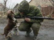 Ситуация на востоке Украины 4 января (Фото, Видео)