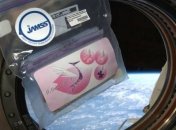 На Международной космической станции произошел необъяснимый феномен