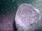 Археологи нашли следы неизвестной цивилизации