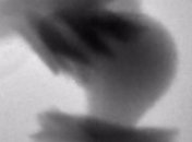 Как рождается минерал?