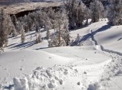 Синоптики заверили, что зима в Украине будет теплой  