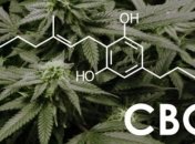 Марихуана позволяет лучше видеть в ночное время