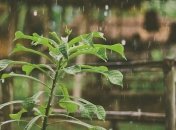 Дожди и грозы: чем "удивит" погода сегодня 31 мая