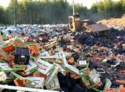 В Санкт-Петербурге протестовали против сожжения продуктов