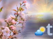 Снег уйдет, потепление не за горами: синоптики дали прогноз на ближайшие дни