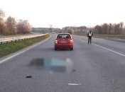 Смертельное ДТП на Виннитчине: полицейский сбил пешехода (Фото)