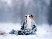 Погода взимку 2022-2023