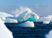 В 2019 году в Арктике произошло увеличение количества пожаров