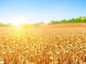 Прогноз погоды на 9 июля: на западе и севере ожидаются грозы