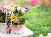 Приметы и обряды на 20 мая – Купальница, День Ивана Бражника