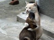 Порция веселых пятничных шуток поднимут вам настроение