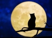 Полнолуние в Водолее 12 августа 2022 года - что нельзя делать