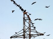 294 населенных пункта Украины обесточены 