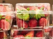 В Австралии расследуют появление иголок в клубнике 