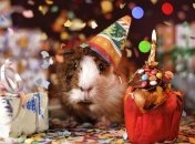 Роскошные СМС поздравления с Днем рождения на 29 марта