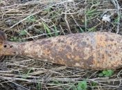 В парке Дружбы народов обнаружили снаряд Второй мировой