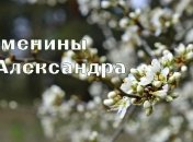  У кого сегодня день ангела: значение имени и красивые поздравления