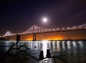 Главные достопримечательности Окленда (Фото)