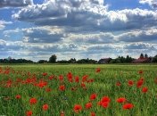 Погода на выходные: синоптики обещают жару, на Прикарпатье снова дожди и грозы