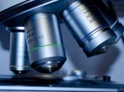 В Бердянске у отдыхающего обнаружили холерный вибрион