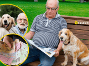 Благодаря любимцам можно пополнить бюджет