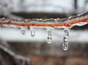 Прогноз погоды на 1 февраля: дожди и ненастье уходят на восток